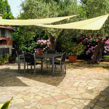 A Casa Di Leda Daire Sarzana Dış mekan fotoğraf