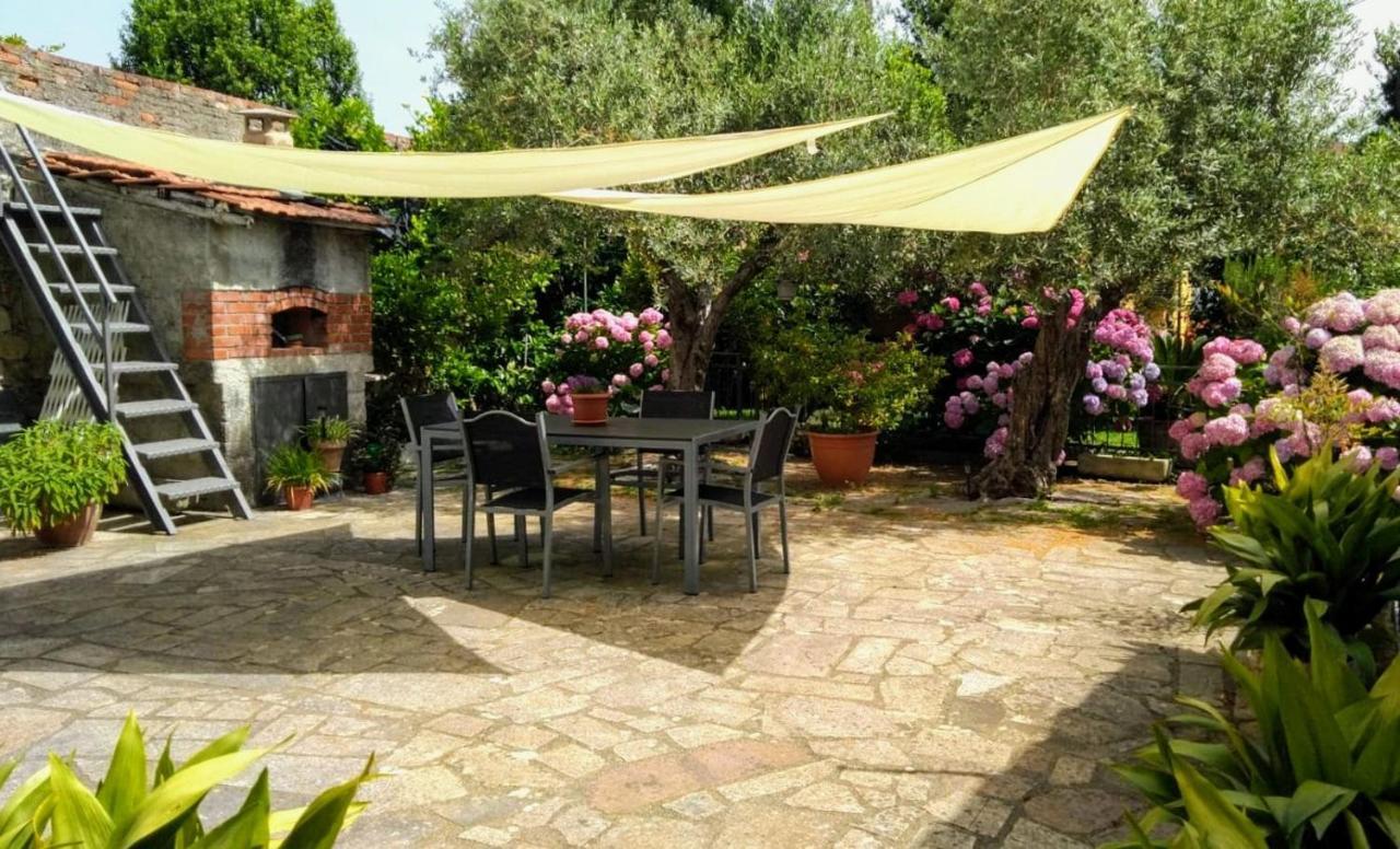 A Casa Di Leda Daire Sarzana Dış mekan fotoğraf