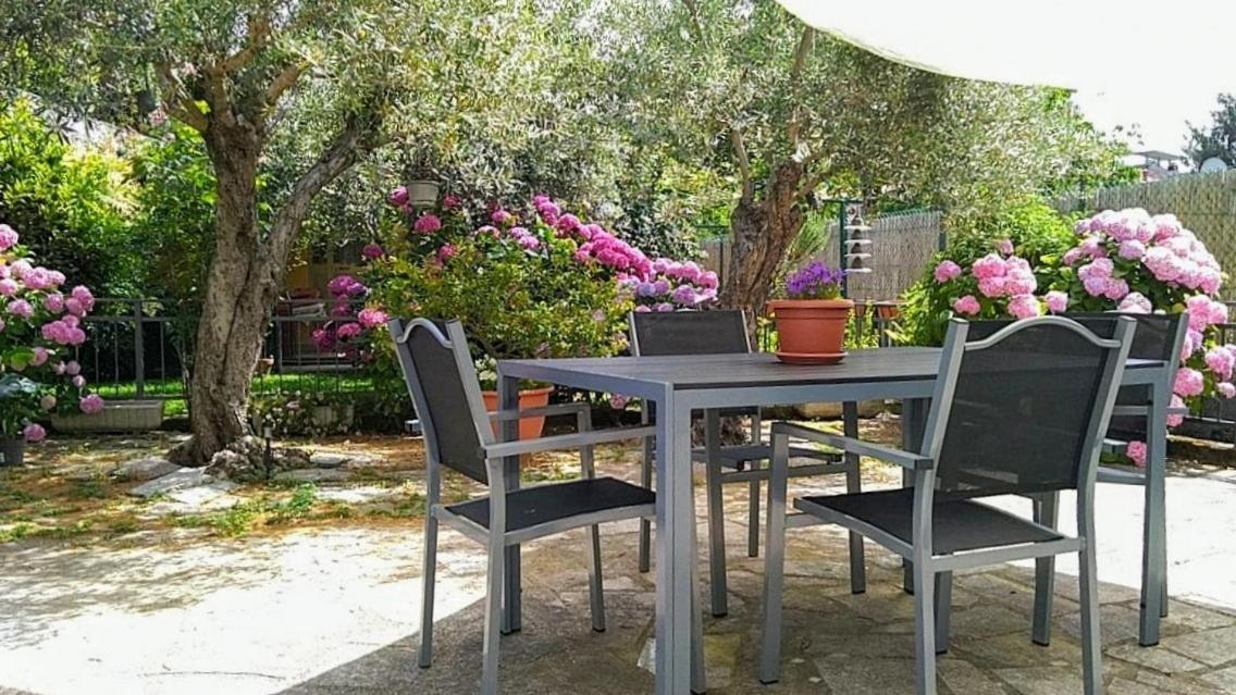 A Casa Di Leda Daire Sarzana Dış mekan fotoğraf